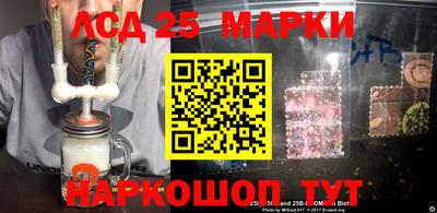 прущие грибы Нальчик