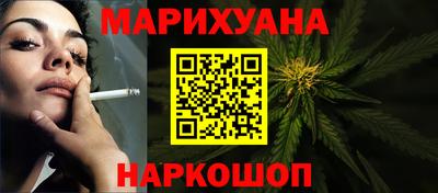 прущие грибы Нальчик