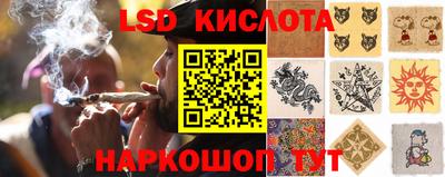 прущие грибы Нальчик