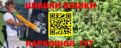 прущие грибы Нальчик