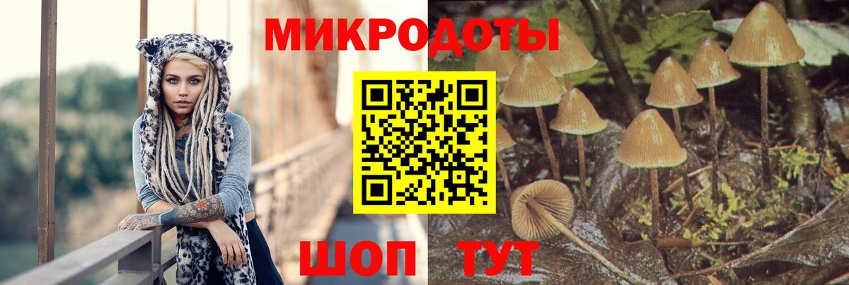 Галлюциногенные грибы GOLDEN TEACHER Пыть-Ях